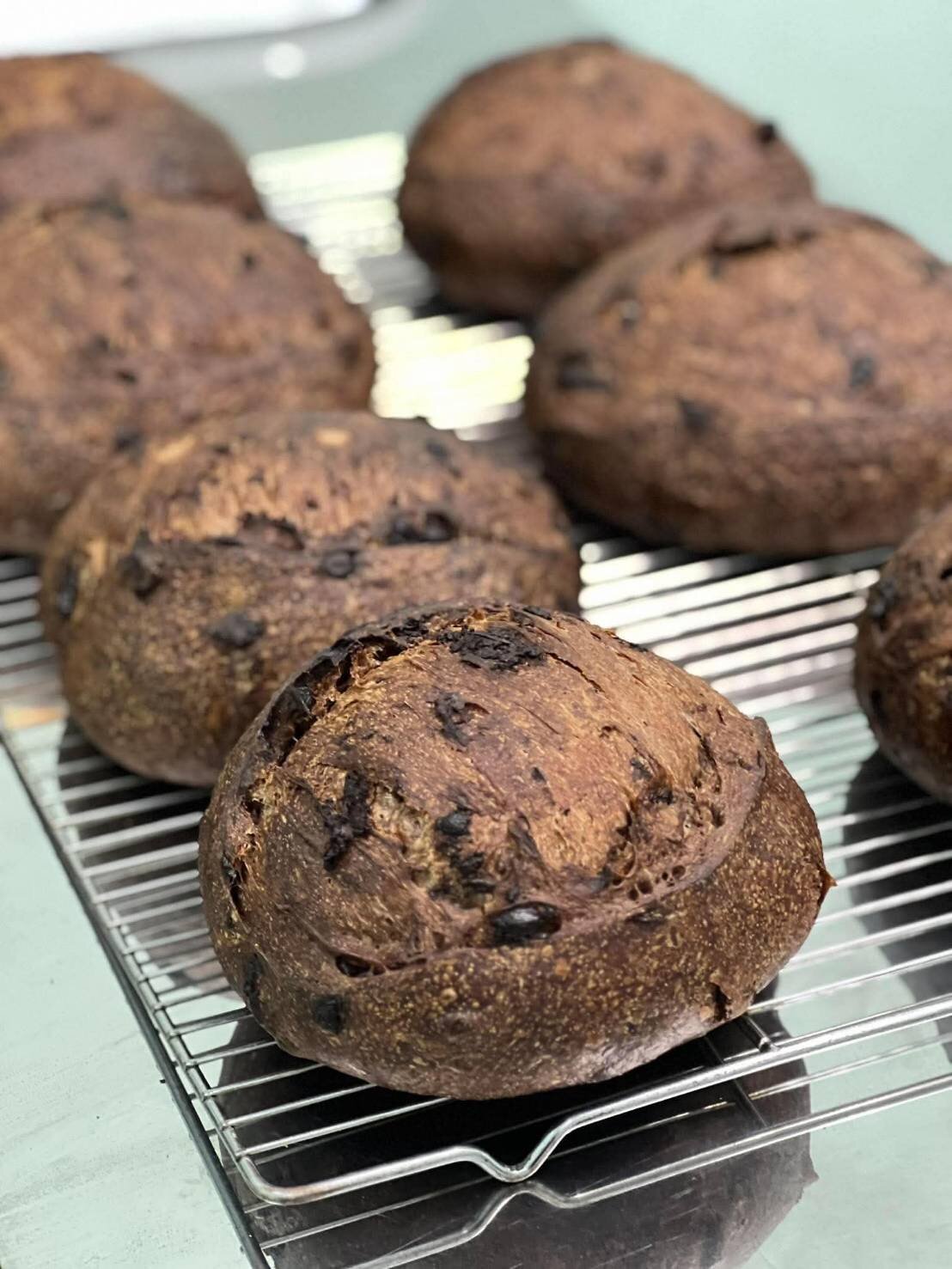Chocolate Cranberry Sourdough